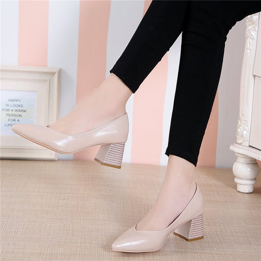 Chic Pointed Toe Heels by Elizabeth Ainsley