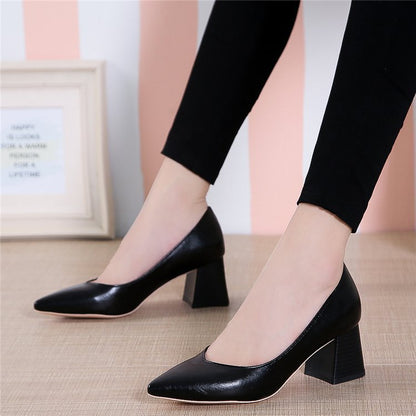 Chic Pointed Toe Heels by Elizabeth Ainsley