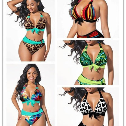 Colorful Plus Size Bikini by Elizabeth Ainsley