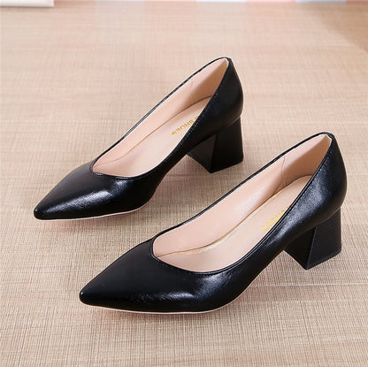 Chic Pointed Toe Heels by Elizabeth Ainsley