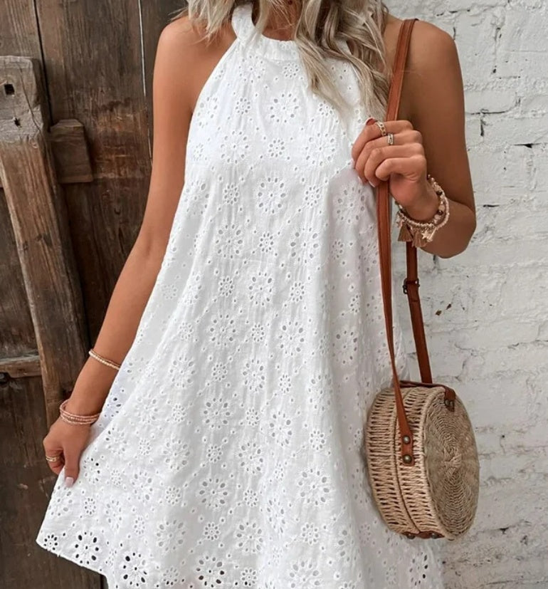 Chic Lace Sleeveless Dress Elizabeth Ainsley