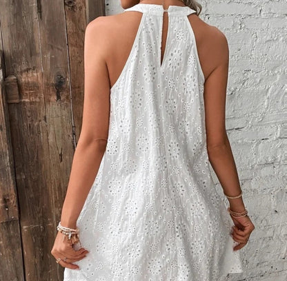 Chic Lace Sleeveless Dress Elizabeth Ainsley