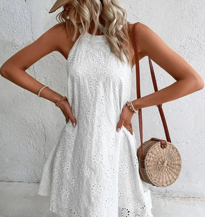 Chic Lace Sleeveless Dress Elizabeth Ainsley