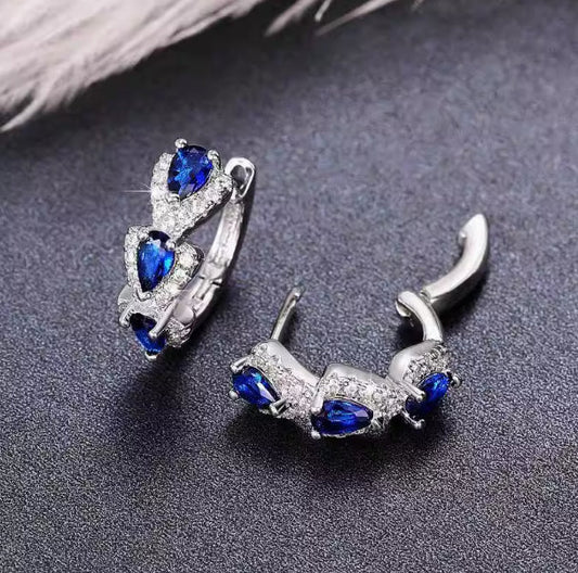 Klein Zirconia Elegant Hoop Earrings